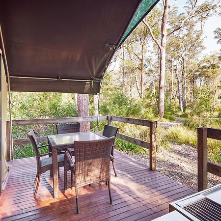 Nrma Darlington Beach Holiday Resort Arrawarra Exterior foto